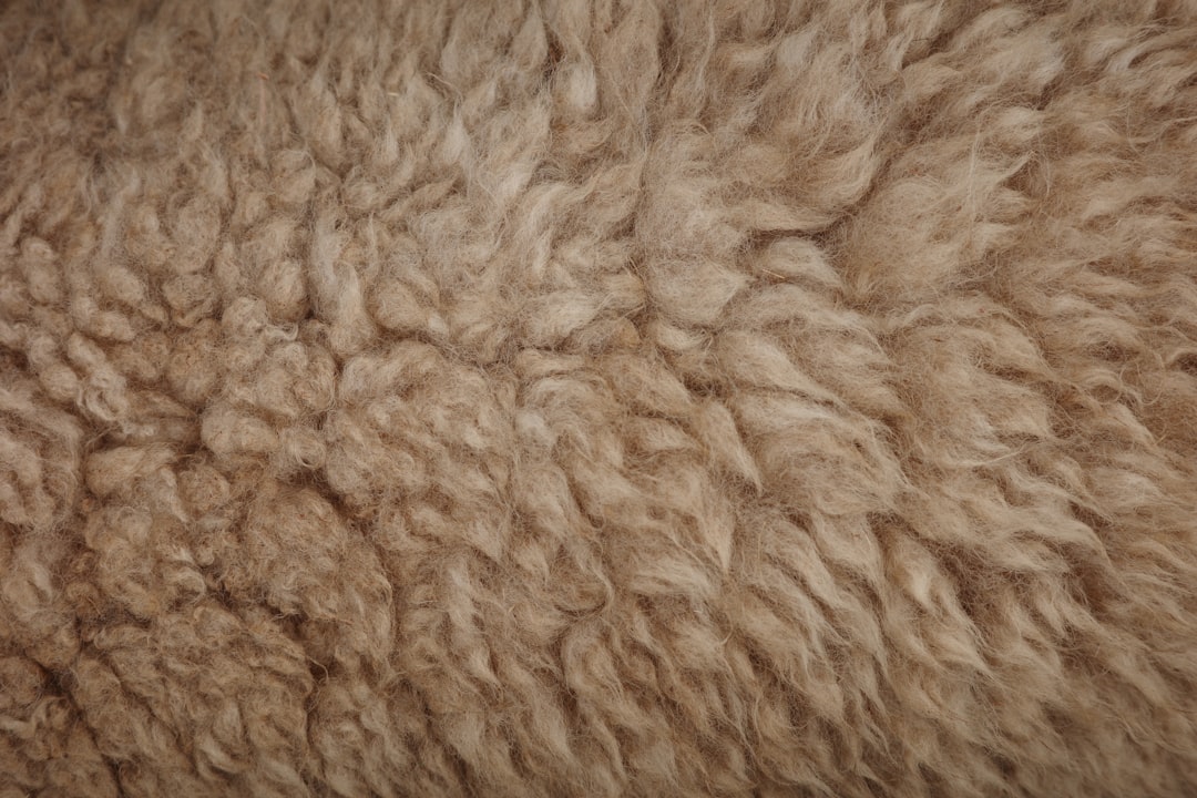 Photo wool
